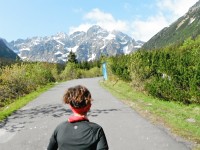 Galeria Bieg im. Wł. hr Zamoyskiego (foto. A.Tomczyk)